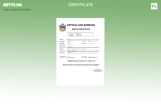 модерен стил Извод од матична книга на родените Антигва и Барбуда Шаблон за Word